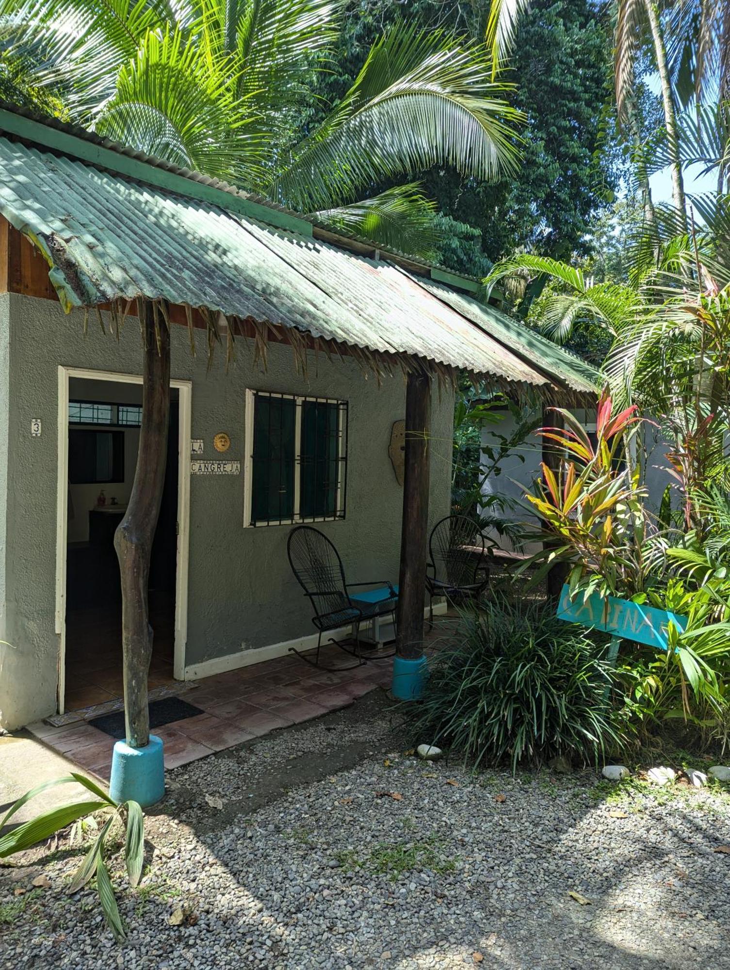 Tasty Dayz Hostel Puerto Viejo de Talamanca Kültér fotó
