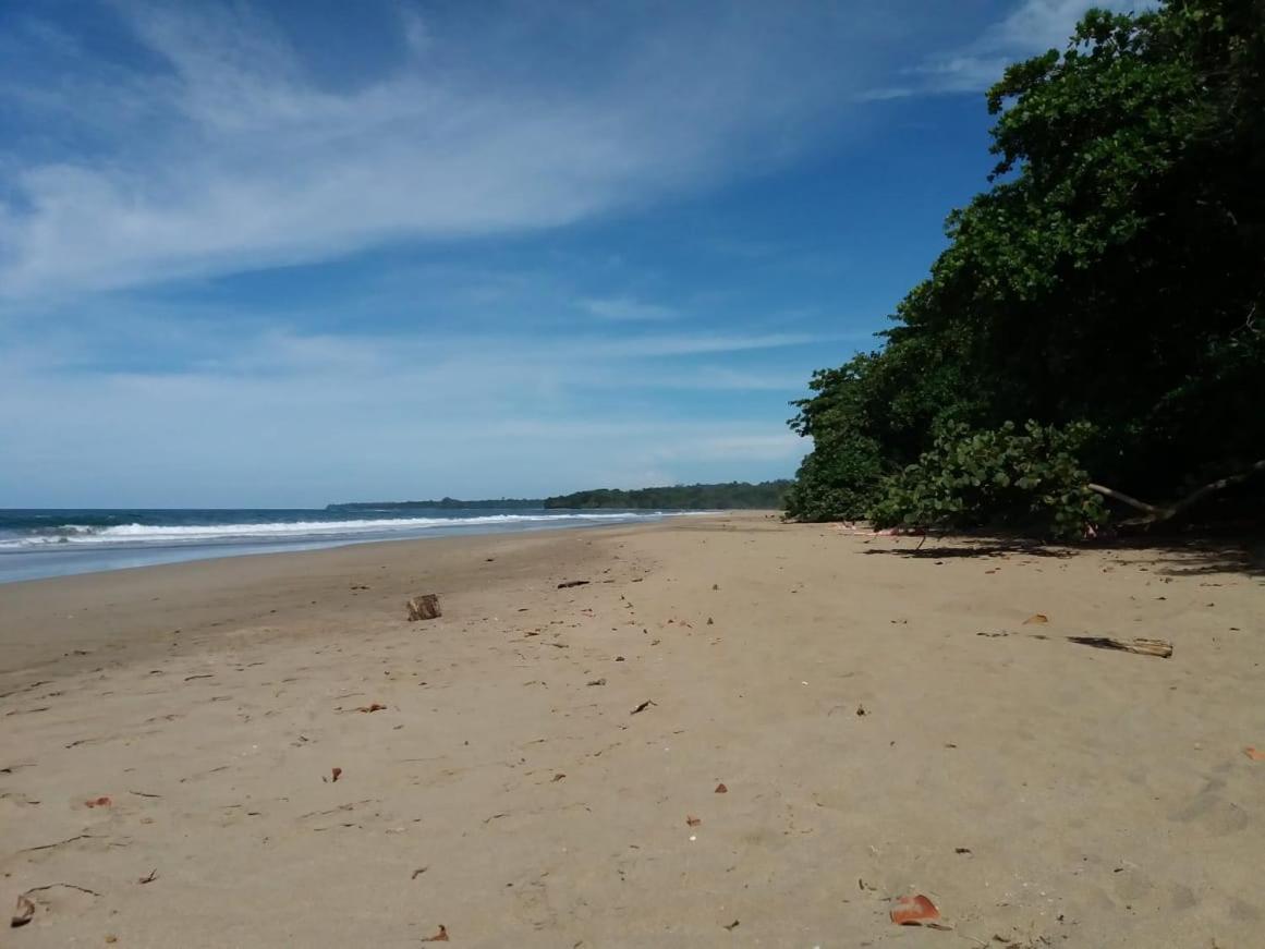 Tasty Dayz Hostel Puerto Viejo de Talamanca Kültér fotó