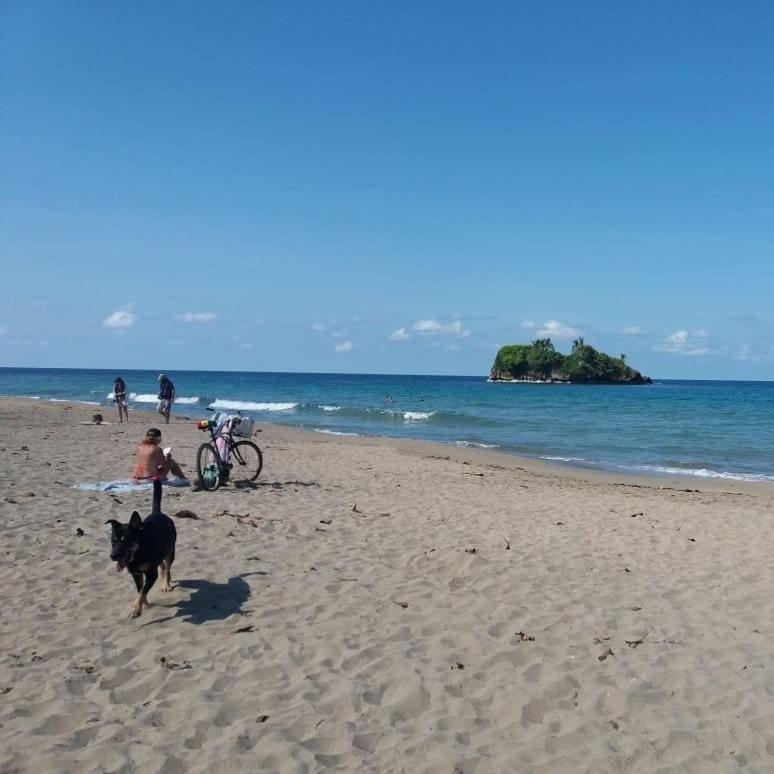 Tasty Dayz Hostel Puerto Viejo de Talamanca Kültér fotó