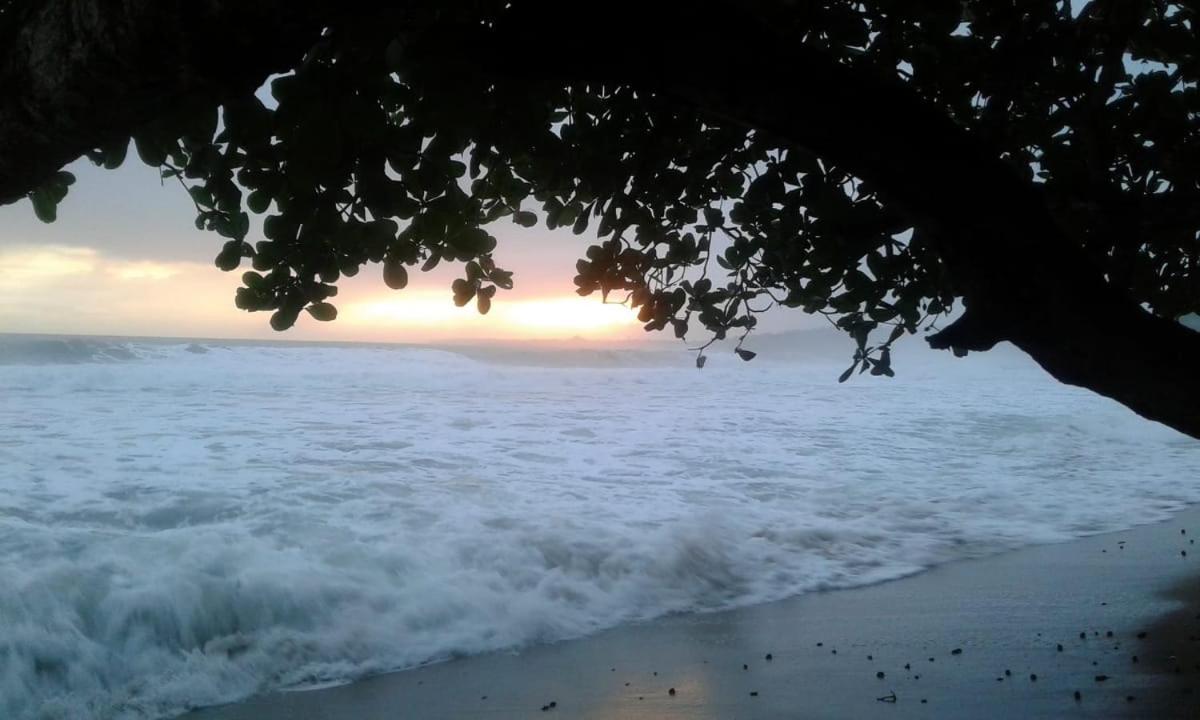 Tasty Dayz Hostel Puerto Viejo de Talamanca Kültér fotó