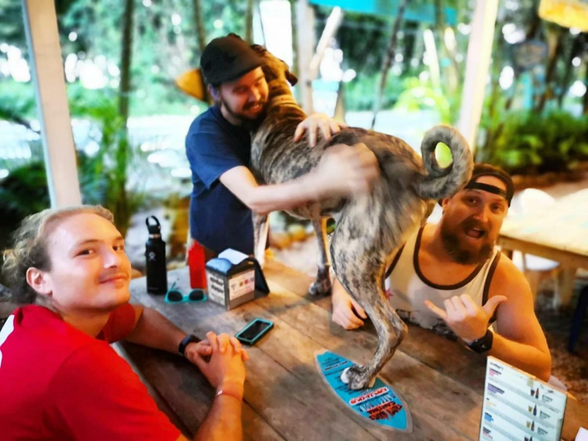 Tasty Dayz Hostel Puerto Viejo de Talamanca Kültér fotó