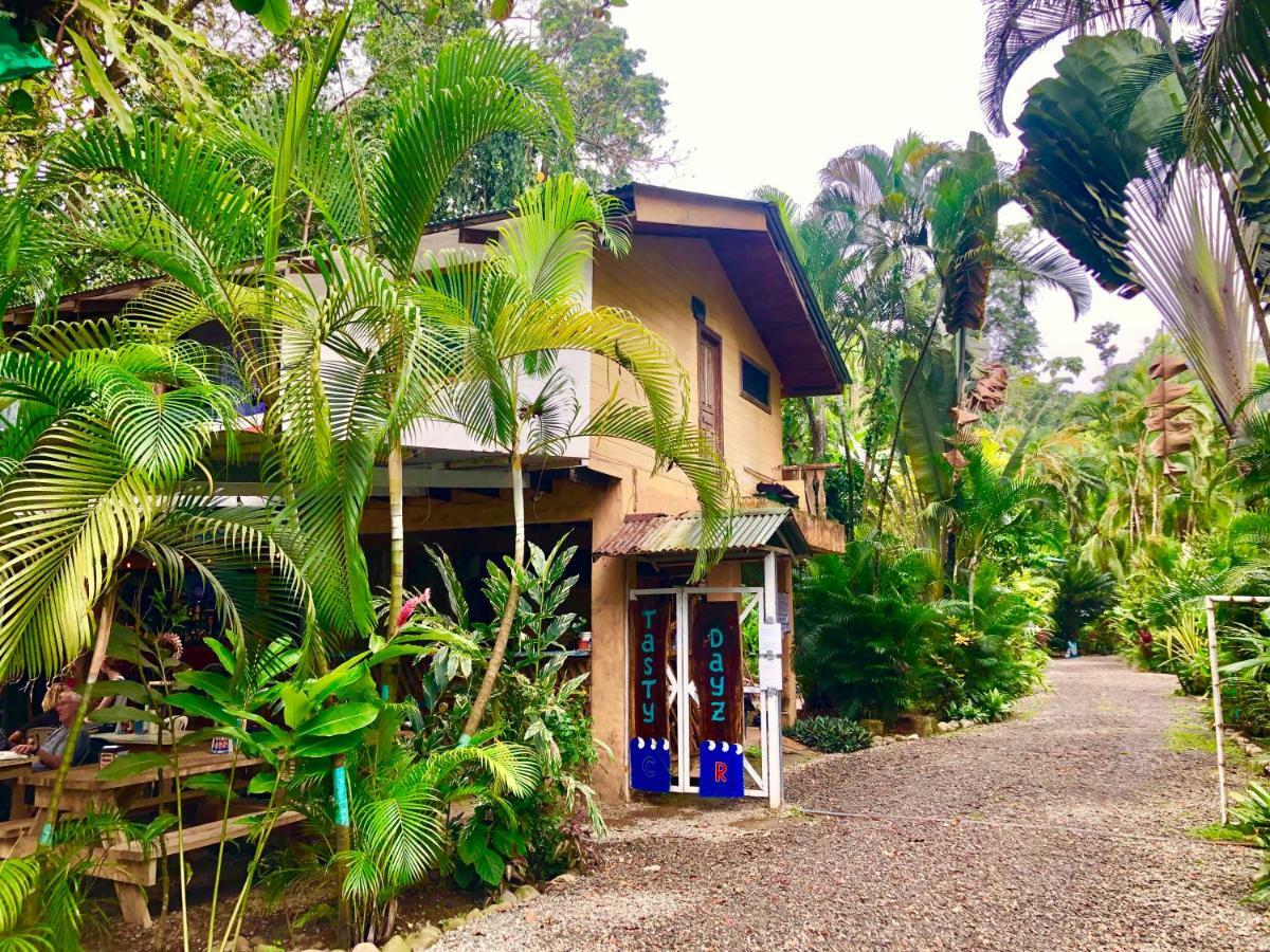 Tasty Dayz Hostel Puerto Viejo de Talamanca Kültér fotó
