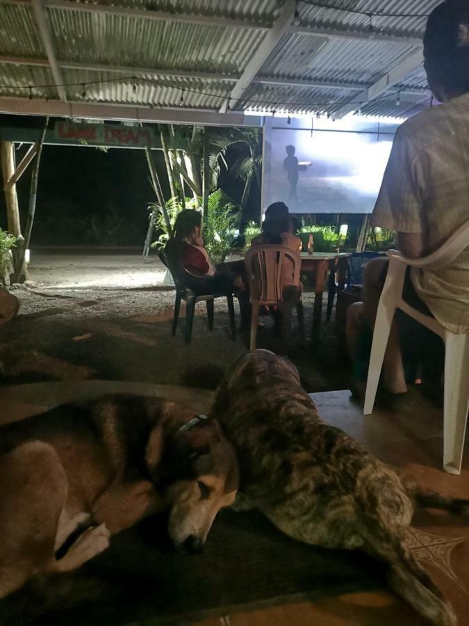 Tasty Dayz Hostel Puerto Viejo de Talamanca Kültér fotó