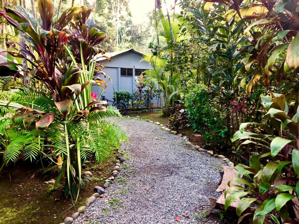 Tasty Dayz Hostel Puerto Viejo de Talamanca Kültér fotó