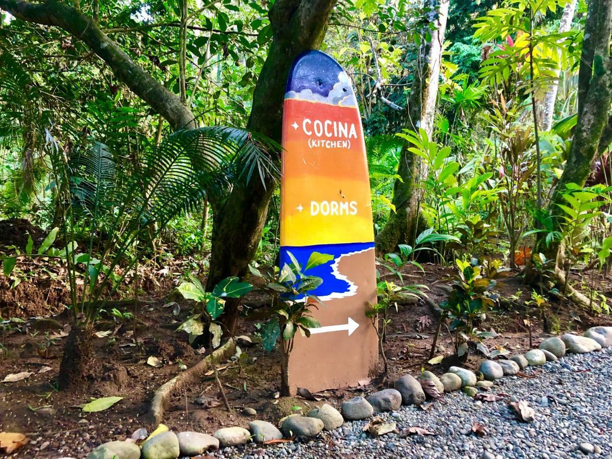 Tasty Dayz Hostel Puerto Viejo de Talamanca Kültér fotó