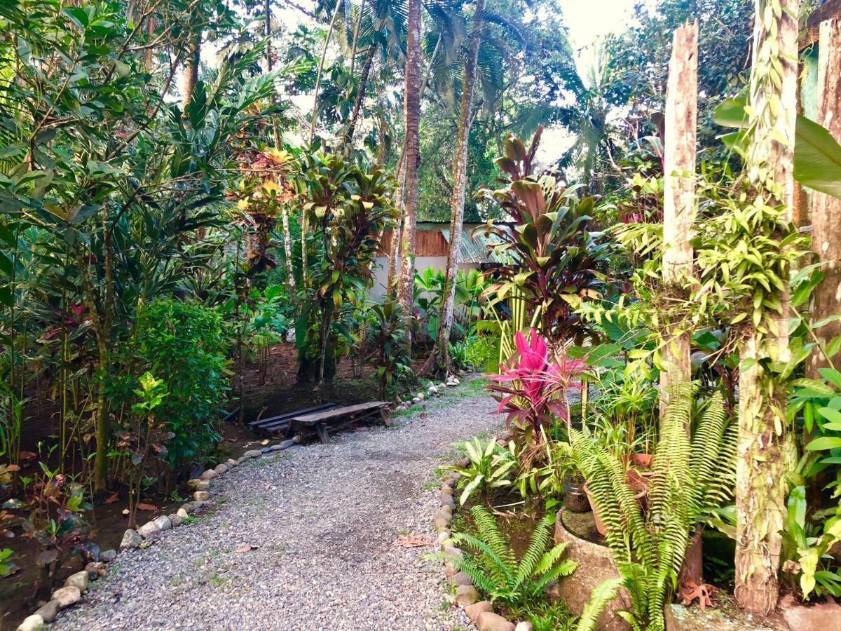 Tasty Dayz Hostel Puerto Viejo de Talamanca Kültér fotó